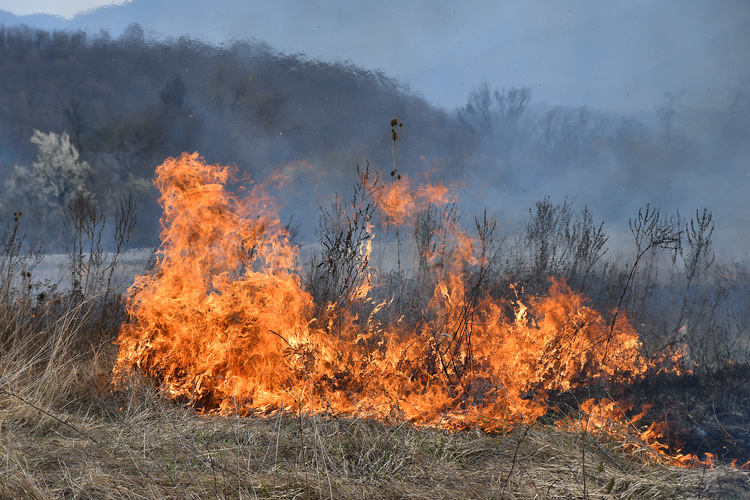 Пожарите в сухи треви в Монтанско зачестяват със затоплянето на времето