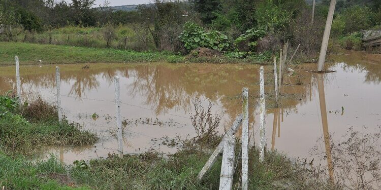 Нови проливни дъждове падат в Монтанско, в две села има наводнени къщи