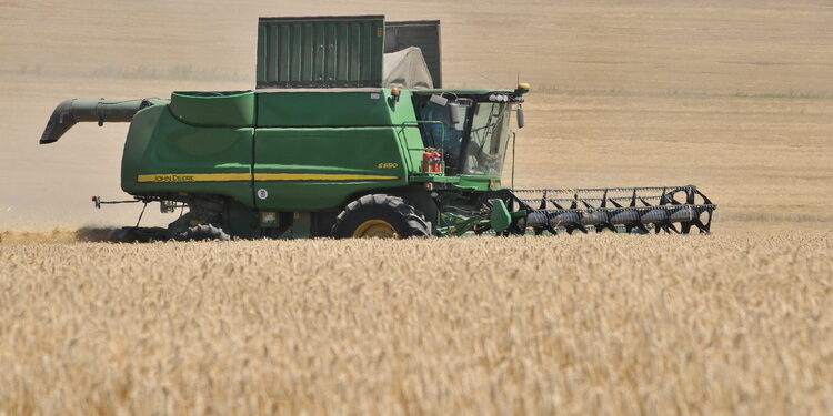 Пшеницата в Монтанско е ожъната на 80%, средният добив е 530 килограма от декар