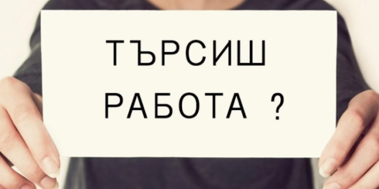 Вижте пълния списък със свободни работни места в област Монтана