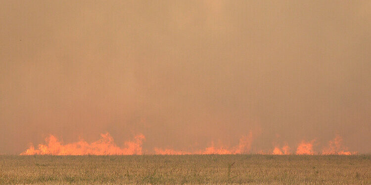 site.btaПри необичайно топлото време вчера в Монтанско са горели 15 пожара в сухи треви и отпадъци