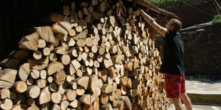 site.btaГолямо количество незаконно добити дърва са намерени в частен двор във Вършец
