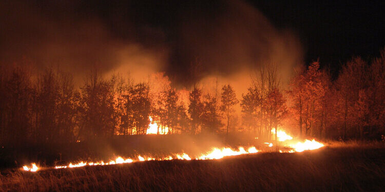 site.btaПри пожар в планината край Вършец са изгорели 675 декара суха трева