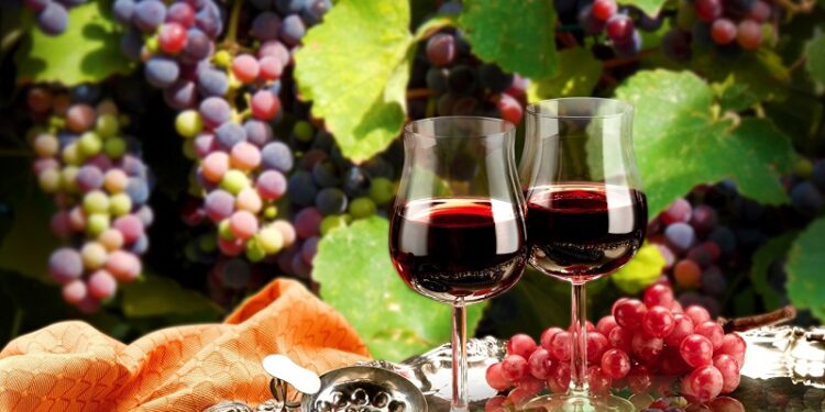 Опознайте света на лозарството и винарството с празника на Свети Трифон Зарезан в Северозападния край.