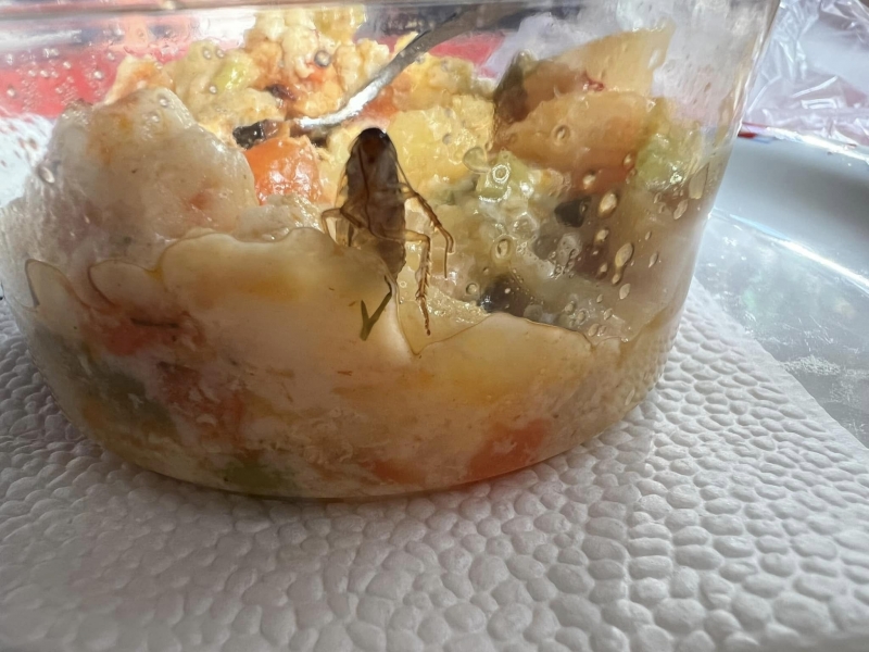 Отврат! Майка откри хлебарка в храна от детската кухня в Монтана