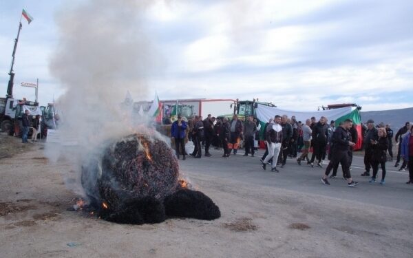 Протестиращите земеделци запалиха сено и разпиляха зърно на пътя за Лом
