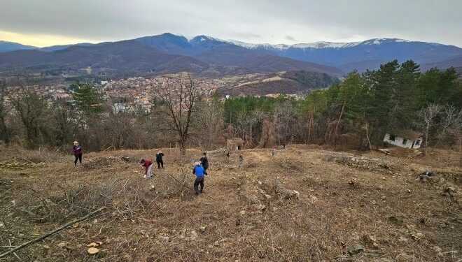 След призива на Община Берковица. Над 100 доброволци се включиха в почистването на Лесопарк Калето