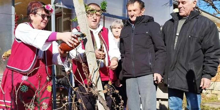 В Студено буче избраха цар на лозята