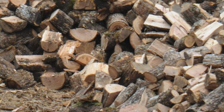 53 годишен мъж от Септемврийци е хванат да транспортира незаконно добити дърва за огрев