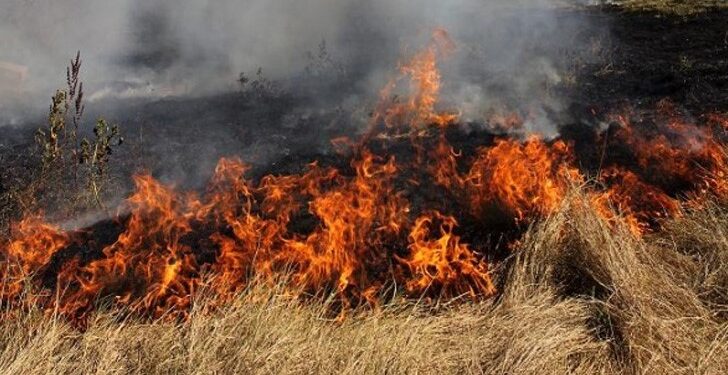 Изгоряха 5 декара сухи треви край Монтанско
