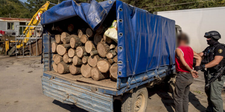 Скандален случай на незаконен добив на дървесина разкриха в Монтанско село!