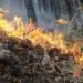 Заповед за обявяване на пожароопасния сезон в Монтана