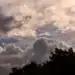 1679317702 klo