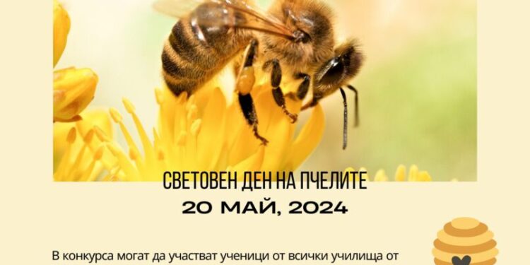 Да спасим пчелите   плакат