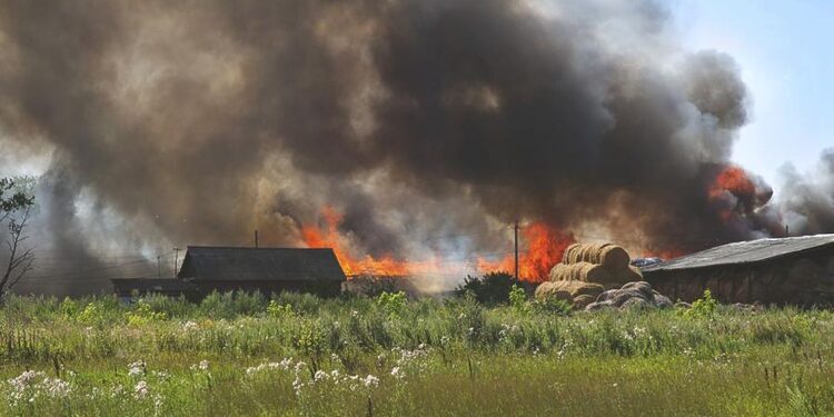 Голям пожар в Монтанско унищожи животни и имоти - Montana Live TV
