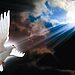 Програма  за празника на Монтана “Свети Дух”