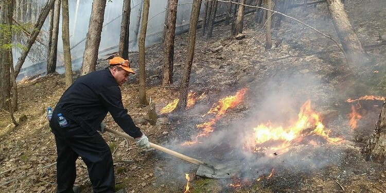 Пожар гори в пресечена местност в Стара планина над Вършец, пожарникари и лесничеи гасят на ръка - Montana Live TV