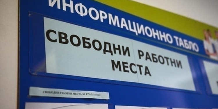 Останали сте без работа? От Агенцията по заетостта обявиха всички свободни работни места в област Монтана - Montana Live TV