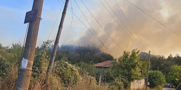 Внимание! Втори пожар бушува за тази седмица в Габровница: заплашва къщи и борова гора - Montana Live TV