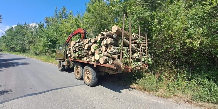 Издадоха го! Задържаха мъж за незаконен превоз на дърва за огрев в село Разград - Montana Live TV