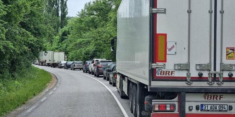 На вниманието на шофьорите! Паднало дърво блокира движението през прохода "Петрохан" - Montana Live TV