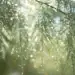 Какво време ни очаква през следващата седмица