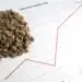 “Таймс”: Цената на кафето ще скочи до небето