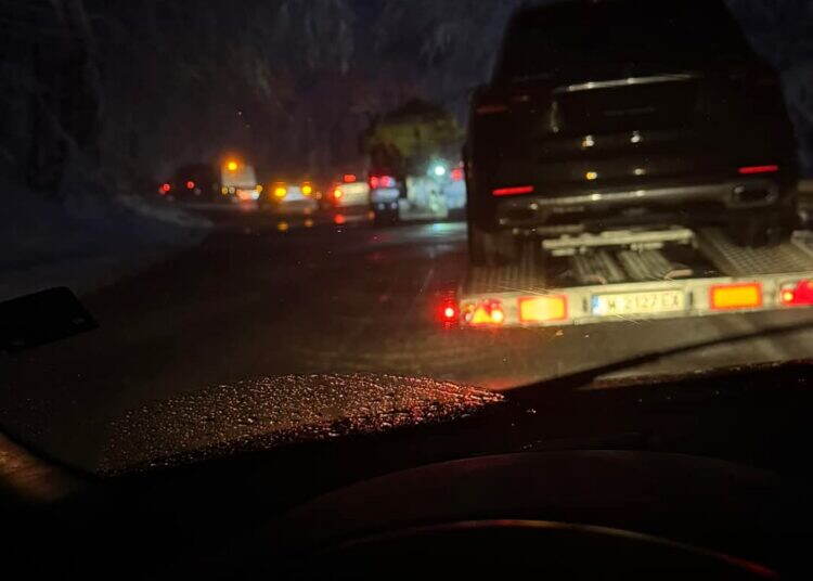 За пътуващите! Паднали дървета затрудняват движението през прохода “Петрохан” /снимки/