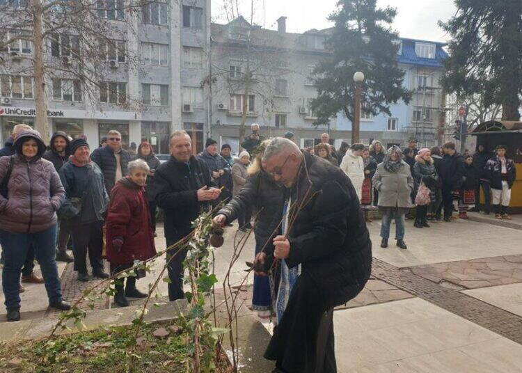 Наградиха призьорите в Конкурса за най-добро домашно вино в Монтана реколта 2024 г. (снимки)