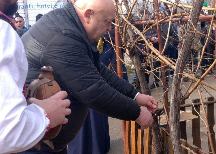 Лом отпразнува Трифон Зарезан с конкурс за най-добро вино и народно веселие /снимки/