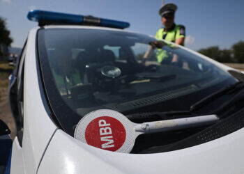 Над 90 нарушения, незаконна дървесина и наложени глоби за 6 950 лв. след акция в Монтанско