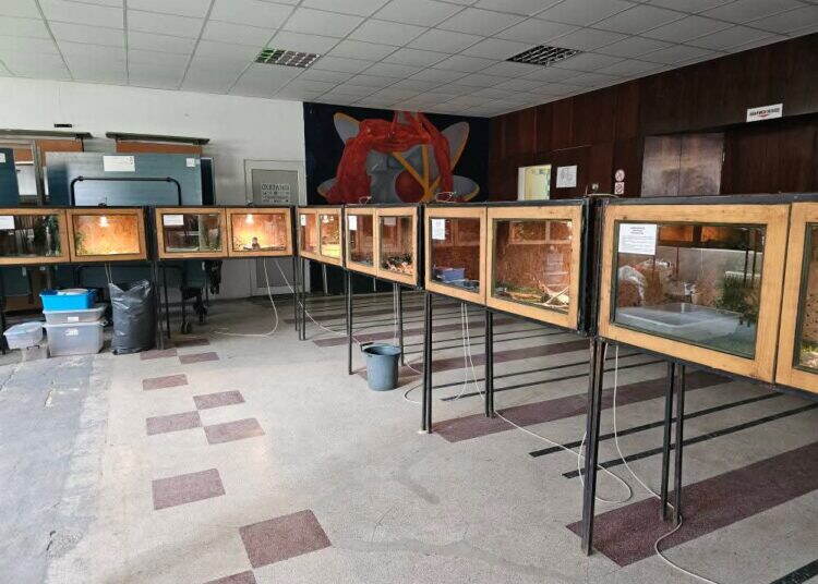 Зоотерапиум в Монтана представя най-опасните влечуги на Земята /снимки/