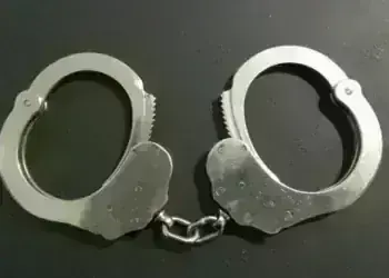 Хванаха шофьор на камион в Берковица да кара след употреба на амфетамин