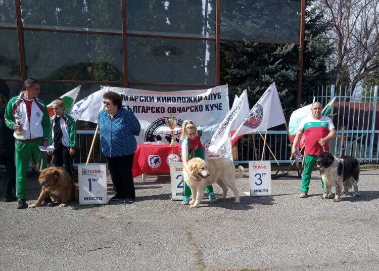 Успешно представяне на Клуб за БОК – Берковица на киноложка изложба в Монтана /снимки/