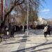 Монтана почете героите на свободата с тържествена церемония