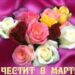 Честит 8 март, скъпи дами!