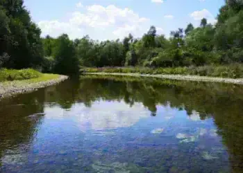 WWF започват проверка на изкуствените прегради по река Лом