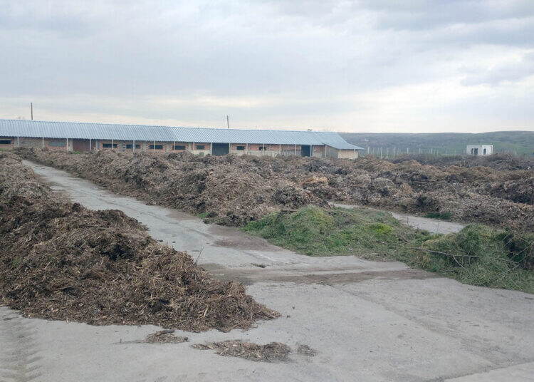 Нова инсталация в Лом преработва зелени отпадъци в компост, който ще се раздава безплатно /снимки/