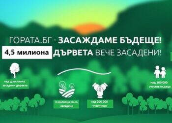 Гората.бг ще раздаде 15 000 дръвчета в Монтана за зелено бъдеще
