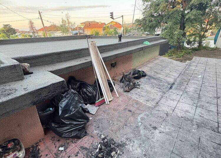 Вижте кадри от мястото на изгорелия павилион
