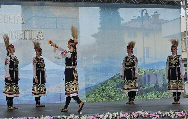 В Берковица отбелязаха Деня на българската просвета и култура