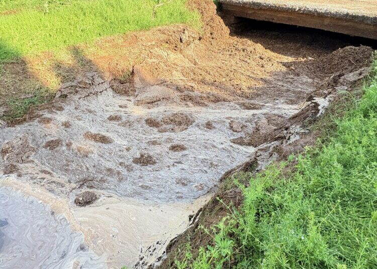 Над 40 имота в Кобиляк и Лехчево отново под вода след десетминутен потоп