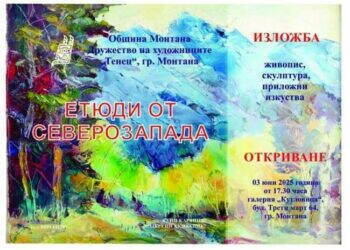 „Етюди от Северозапада“: Художници от региона откриха изложба в Монтана
