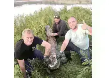 Берковчани откриха сезона с трофеен сом от 75 кг в язовир „Огоста“