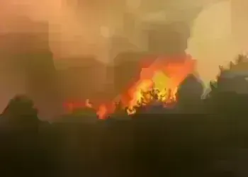 Горски пожар край Бокиловци, двама мъже запалили гората по невнимание