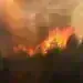 Горски пожар край Бокиловци, двама мъже запалили гората по невнимание
