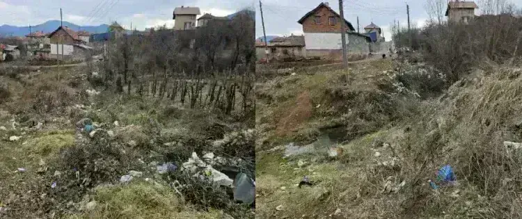 Петър Петров : Област Монтана се задъхва от незаконни сметища