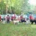 Във Вършец проведоха киноложка изложба на българско овчарско куче