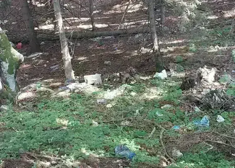 Доброволци почистиха района на връх Ком /снимки/