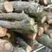 Намерени незаконни дърва в къща в Монтанско